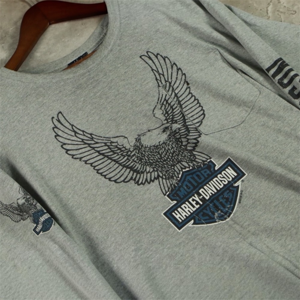 Harley Davidson Golden Spike T-Shirt Mens 2XL Gray Long Sleeve Eagle Biker Tee